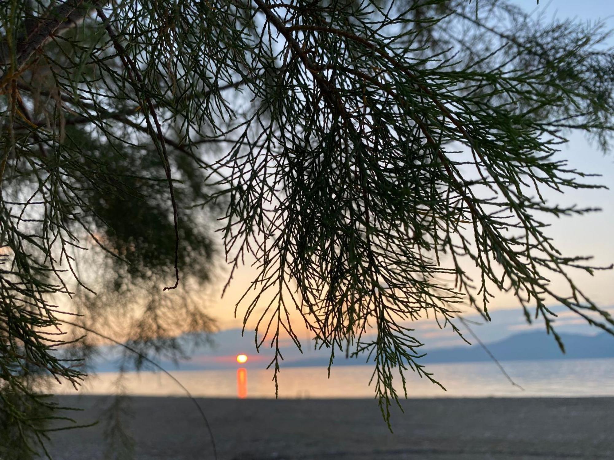 Παγώνα, By The Sea Διαμέρισμα Πευκί Εξωτερικό φωτογραφία